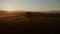 Cinematic Aerial shot orbiting a lone tree at sunset.