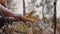 Cinematic close-up, male hands putting protection gloves on before cutting fallen wood in the wild forest slow motion.