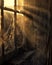 A cinematic close-up shot of a cobweb-draped window of a desolate ancient house