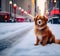 Cinematic Elegance: Stunning Minimalist Red Fluffy Dog in Heavy Snowy New York