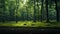 Cinematic Green Forest With Oak - Janek Sedlar Inspired