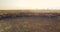 Cinematic orbiting aerial drone view of flock of sheep in Ukrainian prairie steppe