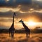Cinematic photo, giraffe