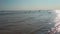 Cinematic shot of flock of gulls soars over sea coast and flaps their wings in slow motion