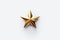 Cinematic Shot of a Highly Detailed Gold Star on White Background.