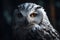 Cinematic Shot of a Highly Detailed Polar Owl by Sony. Perfect for Wildlife Posters and Web Design.