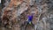 cinematic slow motion footage of strong female climber climbing very hard overhang route clipping rope to carabiner and