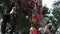 Cinematic slow motion shot of hanging bells with holy red cloths with a snow covered mountains in the Background, Kartik Swami