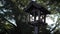 Cinematic sun flares through wooden lantern in Japanese Garden