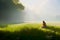 Cinematic and surreal image of a lady sitting in green meadows in a forest in bright sunlight, created with Generative