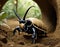 Cinematic Symphony, Hercules Beetle Larvae, 4K Brilliance