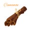 Cinnamon bark sticks spice icon