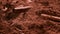 Cinnamon bars fall into cocoa powder - close up