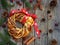 Cinnamon cocoa brown sugar wreath buns. Sweet Homemade christmas baking. Roll bread, spices, decoration on wooden background. New