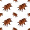Cinnamon flower icon seamless pattern. Vector illustration of daisy. Hand drawn flower