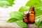 Cinnamon leaf oil in the glass bottle, with fresh cinnamon leaf, on the wooden board