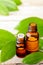 Cinnamon leaf oil in the glass bottle, with fresh cinnamon leaf, on the wooden board