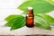 Cinnamon leaf oil in the glass bottle, with fresh cinnamon leaf, on the wooden board