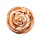 Cinnamon roll isolated on transparent background