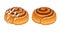 Cinnamon rolls set in cartoon style vector illustration.