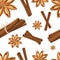 Cinnamon stick, star anise, anise and cardamom . Isolated icons on white background. Seamless illustration.