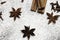 Cinnamon sticks and anise stars closeup on powdered sugar table. Cooking and baking background. Aromatic condiment and spices.