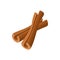 Cinnamon sticks icon, cartoon style