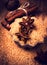 Cinnamon sticks, nuts and star anise on brown sugar, macro. Baking ingredients on wooden table close up