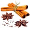 Cinnamon sticks and star anise isolated