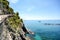 Cinque Terre: Hiking trail from Vernazza to Monterosso al Mare, hiking in early summer at Mediterranean landscape, Liguria Italy