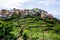 Cinque Terre village with colorful houses on a hill with terraced grass fields.