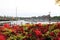 Cinquefoil red lady flowers in the foreground and a harbor with ships and boats in a background