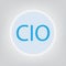 CIO Chief Investment Officer; Chief Information Officer