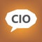 CIO Chief Investment Officer; Chief Information Officer