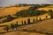 Cipressi di Monticchielo, Typical Tuscan landscape near Montepulciano, Italy