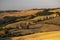 Cipressi di Monticchielo, Typical Tuscan landscape near Montepulciano, Italy