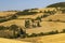 Cipressi di Monticchielo, Typical Tuscan landscape near Montepulciano, Italy