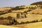 Cipressi di Monticchielo, Typical Tuscan landscape near Montepulciano, Italy