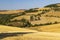 Cipressi di Monticchielo, Typical Tuscan landscape near Montepulciano, Italy