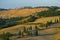 Cipressi di Monticchielo, Typical Tuscan landscape near Montepulciano, Italy