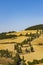 Cipressi di Monticchielo, Typical Tuscan landscape near Montepulciano, Italy