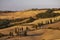 Cipressi di Monticchielo, Typical Tuscan landscape near Montepulciano, Italy