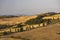 Cipressi di Monticchielo, Typical Tuscan landscape near Montepulciano, Italy