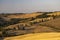 Cipressi di Monticchielo, Typical Tuscan landscape near Montepulciano, Italy