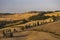 Cipressi di Monticchielo, Typical Tuscan landscape near Montepulciano, Italy