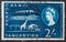 CIRCA 1960: A stamp printed in East Africa from a first day cover of an animal and plant series showing an image of a