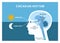 circadian illustrations