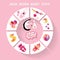 Circle baby infographic.New born baby girl toys