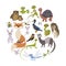 Circle of cute animals. Mammals, amphibians, reptiles, insects a