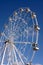 Circle ferris wheel from white metal construction with many rotating cabins over bright blue cloudless sky on sunny day